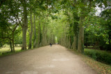 The road leading to the Chateau.  