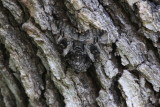 IMG_4605.JPG