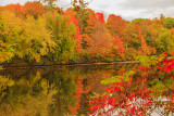 Maine - Lake Foliage