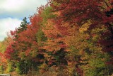 New Hampshire - Fall Foliage