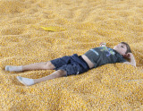 Eli In The Corn Box
