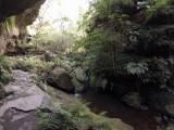 Grand Canyon Walk in Blue mountains