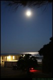 Moonlight over the Pacific at Coledale