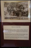 The whalan Collection of Photos