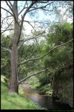 Jenolan Caves Creek