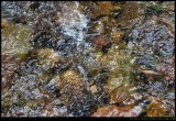Reflections - Jenolan Caves Creek