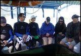 LHI - coral viewing
