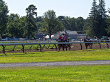 The Backstretch - 8:55 AM