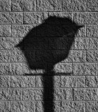 A shadow of itself.