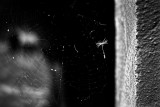 Window on the universe.