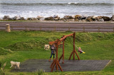 Viewing the sea from a swing.