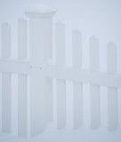 Snow and White Fence 