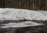 Reflections of Winter and the Spring thaw.  I hope.  :)
