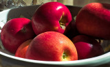 Apples in morning sunlight