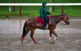 Woe is me.  Take me to back to the stables, PLEASE.
