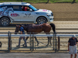 A moment at Saratoga Race Course