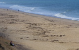 Nauset Light Beach