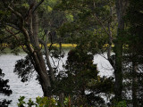 Salt Pond - Salt Pond Visitors Center