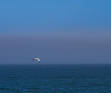 Nauset Light Beach