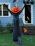 A friendly witch  in our neigborhood.