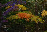 Autumn in Connecticut