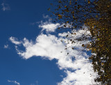 Autumn in Connecticut