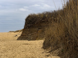 Coast Guard Beach