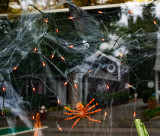 Halloween decorations in a store window