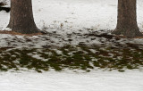 Yesterdays snow
