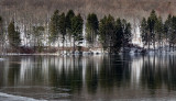 Winter reflections on ice