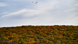 Autumn in Connecticut