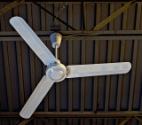 Fan in winter