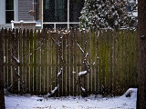 January in Connecticut