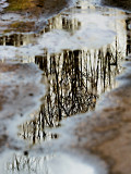 Winter reflections - February in Connecticut