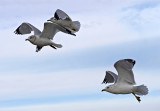 In formation
