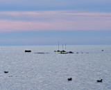 Harvey's Beach