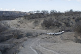 Vasjlovani National Park