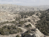 Vasjlovani National Park