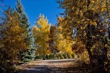 8495 Fall colors 2013.jpg