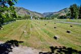 0779 Baling Hay.jpg