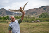 0971 Raptor release