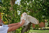 1000 Raptor release