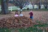 3117 kids in leaves.jpg