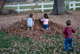 3126 kids in leaves.jpg