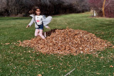 3143 kids in leaves 2.jpg