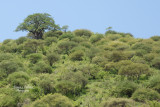 Parc Manyara_DSC_9829_site.jpg