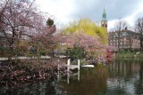 Tivoli in Spring raiment