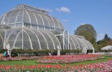 Kew Gardens Palm House