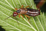 T9ZQ3465_web.jpg