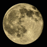 Solstice Strawberry Moon - DSCN0635 